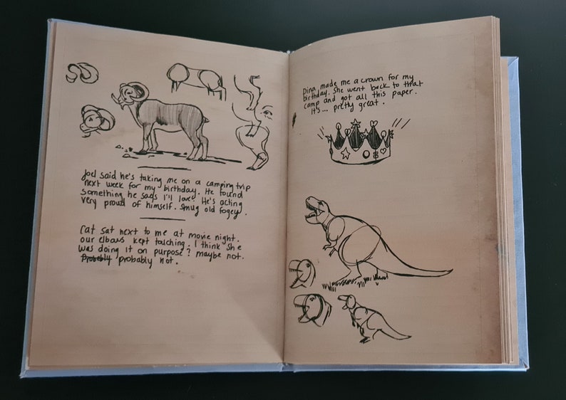 May include: A page from a journal with black ink drawings of a ram, a dinosaur, and a crown. The text on the page reads "Joel said he's taking me on a camping trip next week for my birthday. Found something he says I'll love! He's acting very proud of himself. Smug old fogey." and "Dina made me a crown for my birthday. She went back to that camp and got all this paper... it's pretty great."