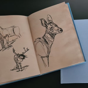 May include: An open book with hand-drawn sketches of deer on the pages. The book has a blue cover and is lying on a black surface.