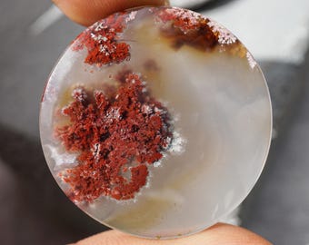 May include: A circular gemstone with a translucent, milky white base. The stone has striking inclusions of deep red, fern-like patterns, and hints of tan and white. The gemstone is held between two fingers.