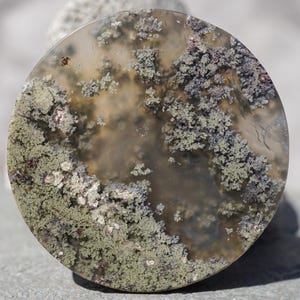 Op de afbeelding: Een ronde, gepolijste steen met een uniek patroon. De steen heeft een mix van kleuren, waaronder tinten groen, grijs en bruin, met een mosachtig uiterlijk. Het oppervlak van de steen is glad en reflecterend, met een natuurlijke, organische uitstraling.