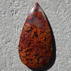 May include: A teardrop-shaped gemstone with a polished surface. The stone features a vibrant pattern of red and orange inclusions, resembling a landscape or plant life. The gem is set against a gray background.