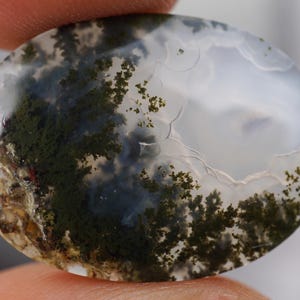 Moss Agate Cabochon