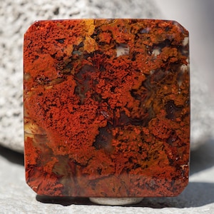 Könnte beinhalten: Ein quadratischer, polierter Edelstein-Cabochon mit einem lebendigen, komplizierten Muster aus moosartigen Einschlüssen in tiefem Rot, gebranntem Orange und Dunkelbraun vor einem durchscheinenden, milchig-weißen und klaren kristallinen Hintergrund.