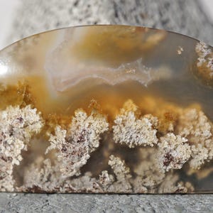 White Moss Agate Cabochon Pendant Gemstone Jewelry Agate Minerals Necklace Quartz Cabochon Flower Moss Agates Agatized Plume Chalcedony Gems