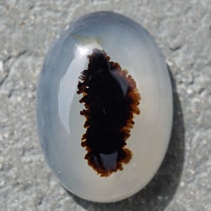 May include: Oval gemstone with a translucent, milky white base, featuring a prominent dark brown, tree-like inclusion. The stone has a polished, glossy surface, reflecting light. The background is a textured, grey surface.