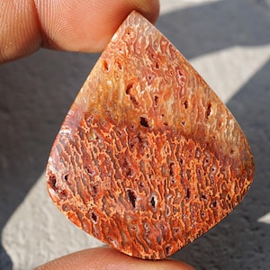 May include: A teardrop-shaped gemstone with a unique pattern of reddish-brown and orange hues. The stone has a textured surface with small holes and intricate vein-like patterns, creating a natural and organic appearance. The gemstone is held by a person's fingers.