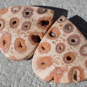 May include: Two polished, natural stone cabochons. The stones are a light beige color with circular patterns in shades of orange and brown. The cabochons have a teardrop and a half-circle shape.