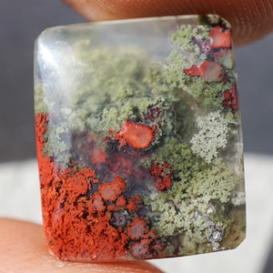 Può includere: Una gemma rettangolare con una base trasparente e chiara. La pietra presenta un vivace motivo di inclusioni rosse, verdi e bianche, che ricorda un paesaggio in miniatura. La pietra è tenuta tra le dita.