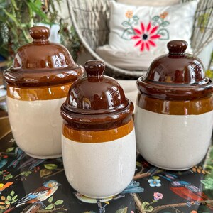 May include: Three ceramic jars with lids. The jars are white with a brown band and a dark brown lid. The jars are arranged on a decorative tray with a bird and floral pattern. The jars are a kitchen or home decor item.
