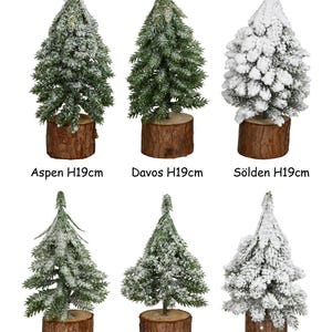 Könnte beinhalten: Sechs künstliche Mini-Weihnachtsbäume. Die Bäume sind grün mit weißen Akzenten, einige mit schneebedecktem Aussehen. Jeder Baum ist auf einem braunen Holzsockel montiert. Der Text "Aspen H19cm", "Davos H19cm", "Sölden H19cm", "Aspen H14cm", "Davos H14cm" und "Sölden H14cm" ist sichtbar.