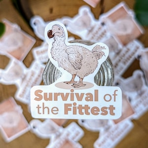 Sticker "Dodo - Survival of the fittest" | Acryl Sticker | Original illustration | Art | Gift | Funny | Humorous | Cute