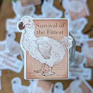 Sticker "Dodo - Survival of the fittest" | matte Acryl Sticker | Original illustration | Art | Gift | Paper look | Funny | Humorous
