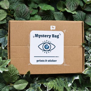 Coffret Mystère Art | surprise | tirages d'art | Illustrations originales | Sac porte-bonheur | cadeau | Autocollants | Fait main | Cartes postales |