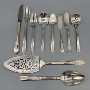 May include: A collection of silver-toned cutlery including a dinner knife, two forks, two spoons, two butter knives, a slotted spoon, a large ornate cake server, and a serving spoon. Each piece features a detailed floral pattern on the handle.