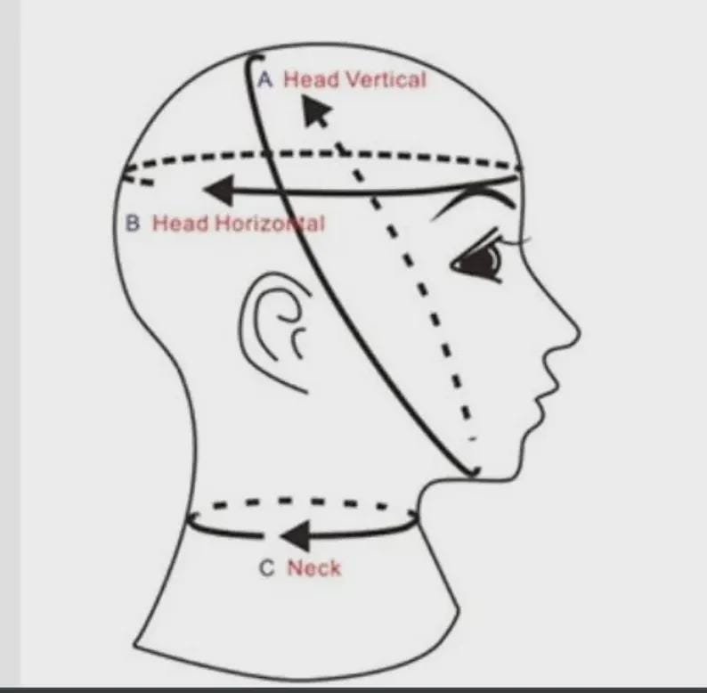 May include: A black and white line drawing of a head with three lines indicating measurements. The lines are labeled "A Head Vertical", "B Head Horizontal", and "C Neck".