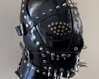 leather head harness