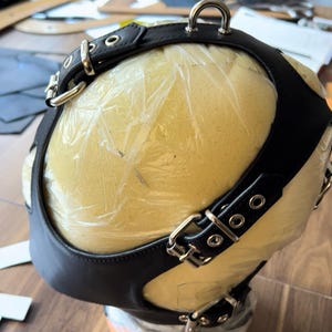 May include: Black leather head harness with silver buckles and rings. The harness is on a foam head form.