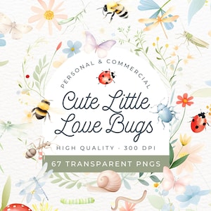 Cute Little Love Bugs Clipart, Convite de aniversário de borboleta e inseto, Chá de bebê de Lady Bug, Nossa festa de Little Love Bug, com inseto PNG