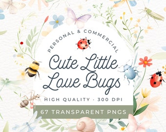 Cute Little Love Bugs Clipart, Butterfly And Bug Birthday Invitation, Girl Lady Bug Baby Shower, Our Little Love Bug Party, with Insect PNG