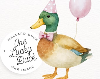 Mallard Duck Birthday PNG, Duck Theme Clipart, SINGLE IMAGE, Pink Balloon and Party Hat, One Lucky Duck Invitation, Baby Shower Girl Invite