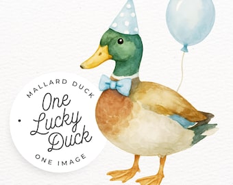 Mallard Duck Birthday PNG, Duck Theme Clipart, SINGLE IMAGE, Blue Balloon and Party Hat, One Lucky Duck Invitation, Baby Shower Boy Invite