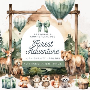 Let the Adventure Begin Baby Shower Clipart, Woodland Animals Clipart Watercolor, Forest Animals, Nursery Clipart, Mama Bear, Stationary PNG