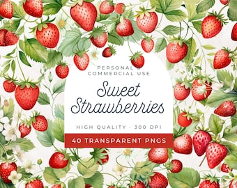 May include: A digital illustration of 40 watercolor painted strawberries with green leaves and white flowers. The image is labeled "Sweet Strawberries" with the text "High Quality - 300 DPI" and "40 Transparent PNGs".