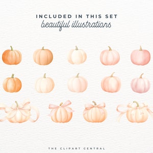 May include: A set of 13 watercolor illustrations of pumpkins in various shades of peach, pink, and white. Some pumpkins have a pink ribbon tied around them. The text "INCLUDED IN THIS SET beautiful illustrations" is at the top of the image.