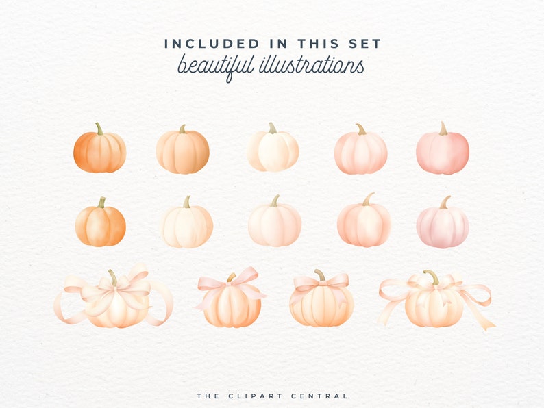 May include: A set of 13 watercolor illustrations of pumpkins in various shades of peach, pink, and white. Some pumpkins have a pink ribbon tied around them. The text "INCLUDED IN THIS SET beautiful illustrations" is at the top of the image.
