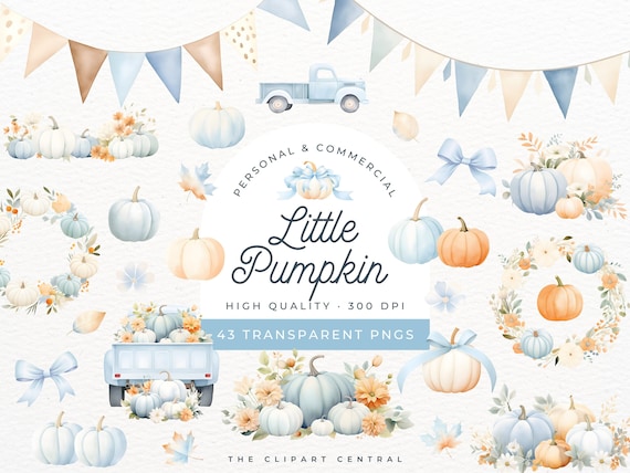 Little Pumpkin, Blue Floral Pumpkin PNG, Farm Truck, On The Way Baby Shower Invite, Our Little Pumpkin Is Turning One Invitation Boy, Flower