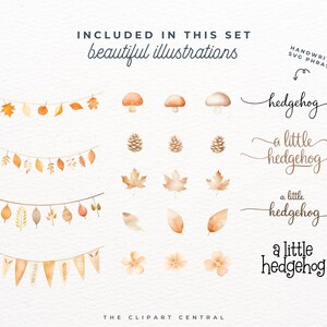Peut inclure: Un ensemble d'illustrations aquarelle repr&eacute;sentant des feuilles d'automne, des champignons, des pommes de pin et des drapeaux. Les illustrations sont dans des tons de brun, orange et jaune. Le texte "INCLUDED IN THIS SET beautiful illustrations" et "HANDWRITTEN SVG PHRASES" est &eacute;galement inclus. Le texte "hedgehog", "a little hedgehog" est &eacute;crit en cursive.