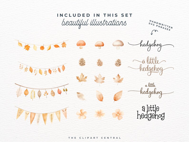 Peut inclure: Un ensemble d'illustrations aquarelle repr&eacute;sentant des feuilles d'automne, des champignons, des pommes de pin et des drapeaux. Les illustrations sont dans des tons de brun, orange et jaune. Le texte "INCLUDED IN THIS SET beautiful illustrations" et "HANDWRITTEN SVG PHRASES" est &eacute;galement inclus. Le texte "hedgehog", "a little hedgehog" est &eacute;crit en cursive.
