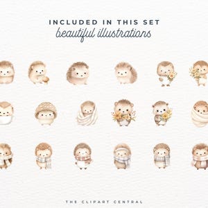 Peut inclure: Un ensemble de 18 illustrations aquarelle de jolis h&eacute;rissons dans diff&eacute;rentes poses. Les h&eacute;rissons portent des &eacute;charpes, tiennent des fleurs et portent des champignons. Les illustrations sont parfaites pour ajouter une touche de fantaisie &agrave; vos projets.