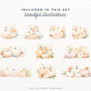 May include: A set of nine watercolor illustrations featuring pumpkins and floral arrangements in shades of white, peach, and cream. The pumpkins are arranged in various groupings and sizes, with some featuring a light blue hue. The floral arrangements include delicate white flowers and greenery.