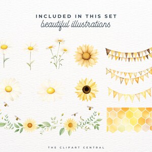 May include: A set of watercolor illustrations featuring sunflowers, daisies, bees, and honeycomb patterns. The illustrations are perfect for adding a touch of nature to your designs.