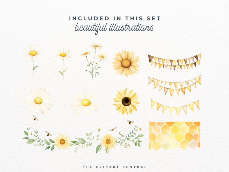 May include: A set of watercolor illustrations featuring sunflowers, daisies, bees, and honeycomb patterns. The illustrations are perfect for adding a touch of nature to your designs.