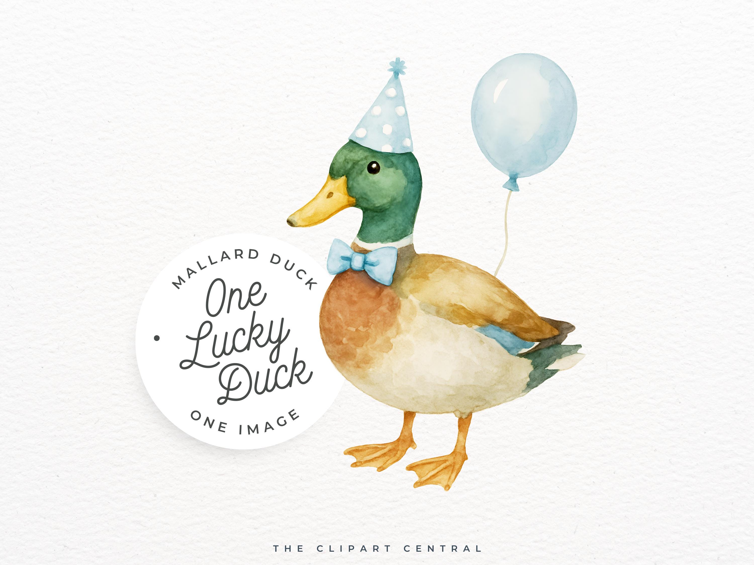 Mallard Duck Birthday PNG, Duck Theme Clipart, SINGLE IMAGE, Blue Balloon and Party Hat, One Lucky Duck Invitation, Baby Shower Boy Invite
