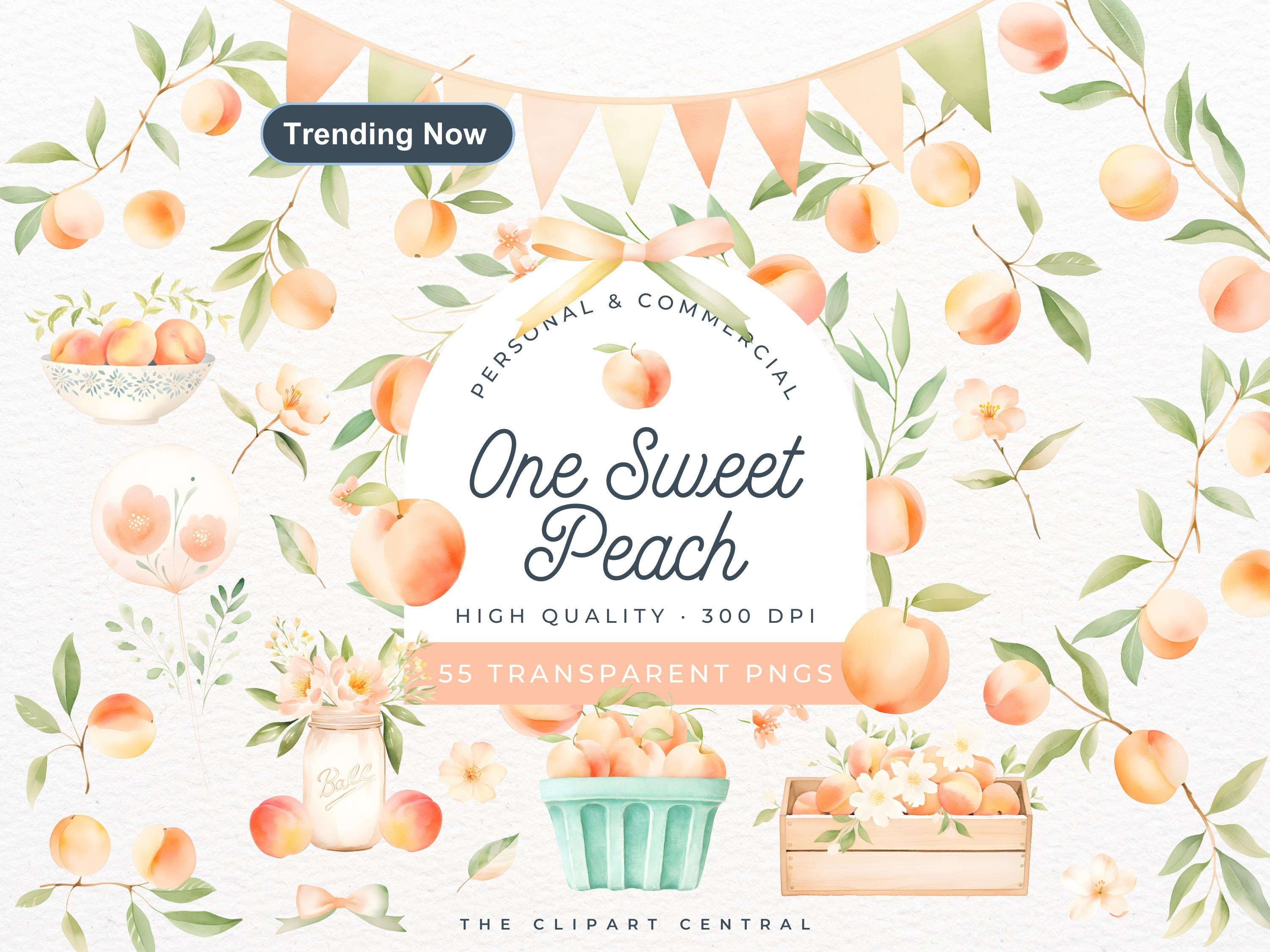 Peach Watercolor Clipart, One Sweet Peach First Digital Birthday Invitation, Sweet As A Peach Baby Shower PNG, A Little Peach Is On The Way