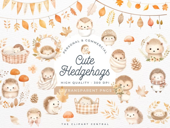 Cute Hedgehog Clipart, Pine Cone, Autumn Leaves, Maple Leaf, Fall Theme Baby Shower Invitation, Welcome Sign, Birthday Thank you Card, PNG