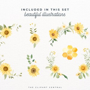 May include: A set of watercolor illustrations featuring sunflowers and honeycomb. The illustrations are perfect for adding a touch of nature to your designs.