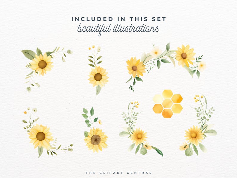 May include: A set of watercolor illustrations featuring sunflowers and honeycomb. The illustrations are perfect for adding a touch of nature to your designs.