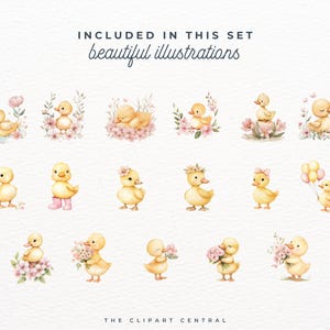 May include: A set of 16 watercolor illustrations featuring cute baby ducks in various poses. The ducks are depicted with pink flowers, bows, and other adorable details. The illustrations are perfect for creating cards, invitations, or other craft projects.