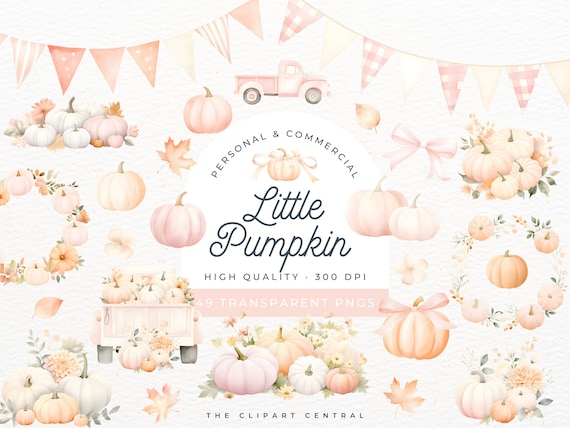 Pink Little Pumpkin, Farm Truck Clipart, Pumpkin With Pink Bow, Little Pumpkin On The Way PNG Sign, White Floral Boho Baby Shower Invitation