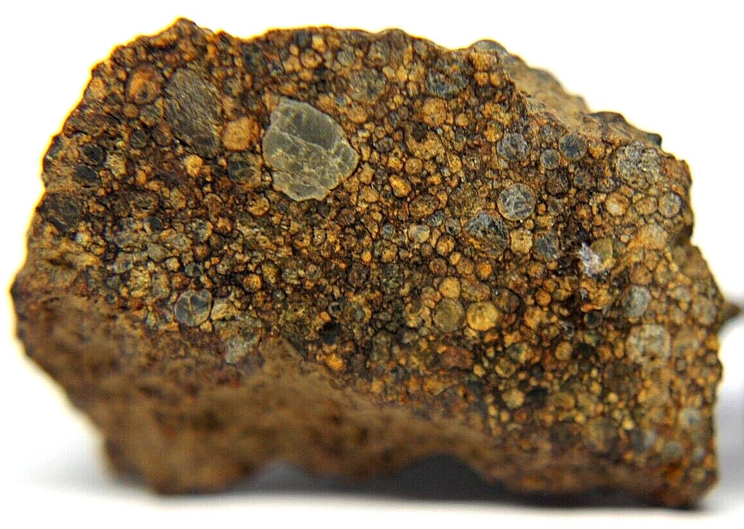 NWA 7349 Achondrite Ureilite Meteorite - G193-0001 - 104.0g