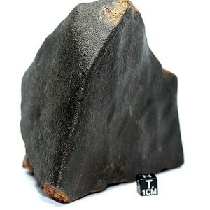 Meteorite NWA 15243 LL3 Chondrite, Rare Type 3 Meteorite