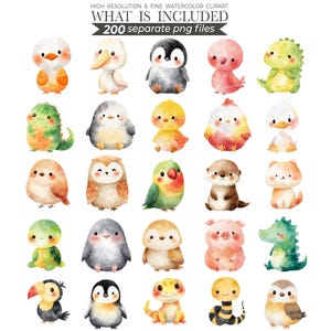 cute animals clipart, animal clipart, watercolor animals, cute animals png, baby animals, animal bundle, printable animals, animal clip art, clipart bundle, cute animal bundle, nursery art, baby shower animals, baby animal png