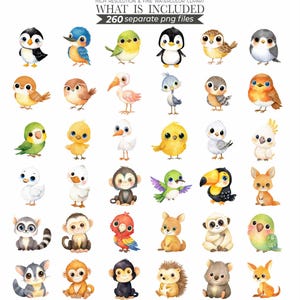 animal bundle, animal clipart, animal clip art, animal png, baby animal, clipart bundle, cute animal clipart, cute animal png, cute animals, cute animals png, printable animal, watercolor animal, watercolor animals