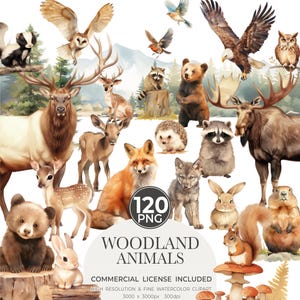 Animaux de la forêt, aquarelle animaux de la forêt PNG, bébés animaux de la forêt, clipart chambre d'enfant, bébés de la forêt, clipart forêt, cerf ours renard raton laveur