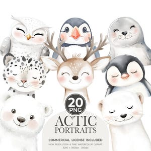 Clipart portraits arctiques aquarelle, clipart animaux mignons, bébés animaux, clipart hiver baby shower, chambre de bébé polaire, animaux Boho du pôle Nord