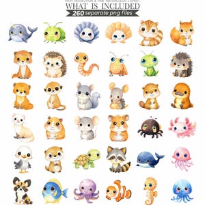 animal bundle, animal clipart, animal clip art, animal png, baby animal, clipart bundle, cute animal clipart, cute animal png, cute animals, cute animals png, printable animal, watercolor animal, watercolor animals